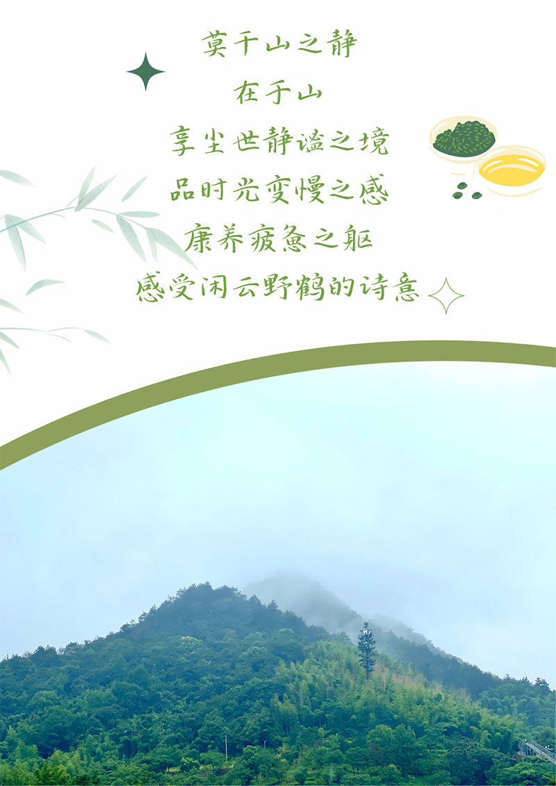 心心念廿 相伴Z6尊龙凯时 | 与德清相约 贺廿载诞辰