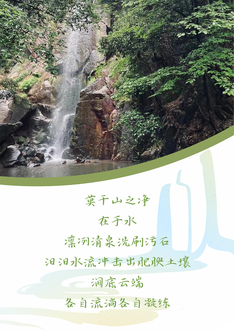 心心念廿 相伴Z6尊龙凯时 | 与德清相约 贺廿载诞辰